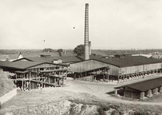 Historická fotografie Přikrylovy cihelny v Přerově; Státní okresní archiv Přerov