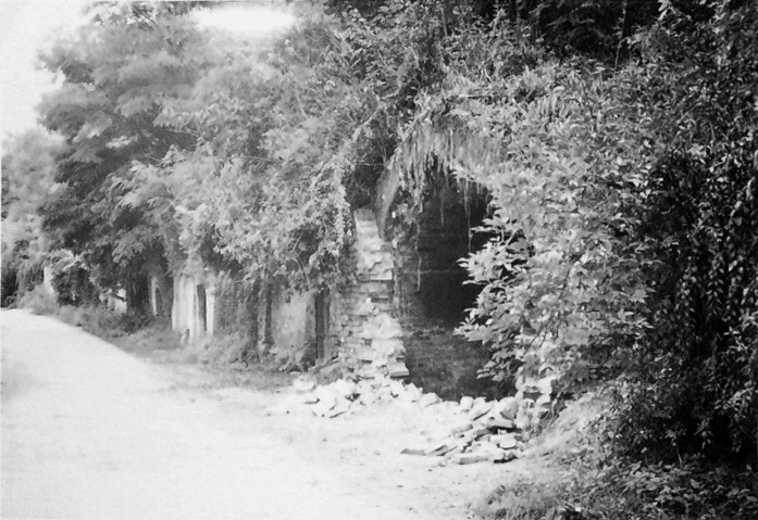 Historické vinné sklepy ve Strachotíně; fotografie z rodinného archivu Wenischových, 70. léta 20. století