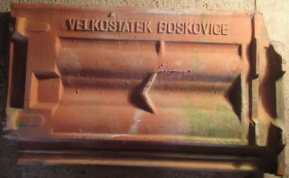VELKOSTATEK BOSKOVICE – fotografie 1